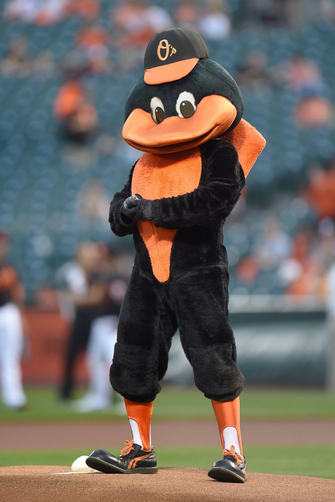 Baseball Mascots Show Off Their Moves Photos | Image #91 - ABC News